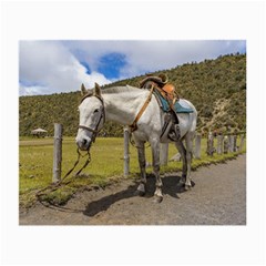 White Horse Tied Up At Cotopaxi National Park Ecuador Small Glasses Cloth (2-side) by dflcprints