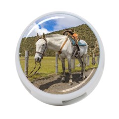 White Horse Tied Up At Cotopaxi National Park Ecuador 4-port Usb Hub (one Side) by dflcprints