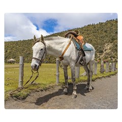 White Horse Tied Up At Cotopaxi National Park Ecuador Double Sided Flano Blanket (small)  by dflcprints