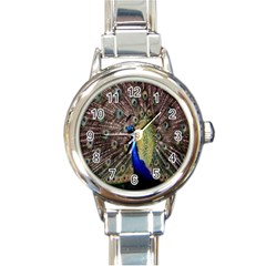 Multi Colored Peacock Round Italian Charm Watch