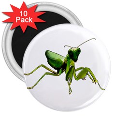 Mantis 3  Magnets (10 Pack)  by Valentinaart