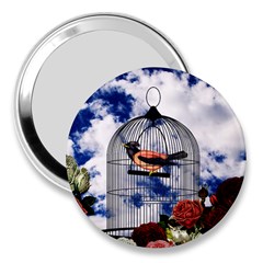 Vintage Bird In The Cage  3  Handbag Mirrors by Valentinaart