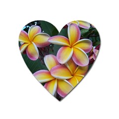 Premier Mix Flower Heart Magnet