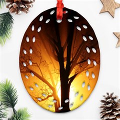 Rays Of Light Tree In Fog At Night Ornament (oval Filigree) by Amaryn4rt