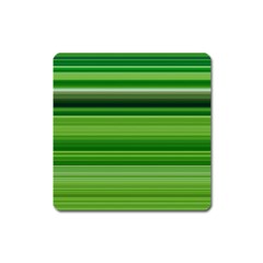 Horizontal Stripes Line Green Square Magnet by Mariart