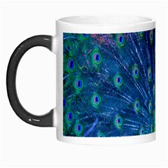 Amazing Peacock Morph Mugs by Simbadda