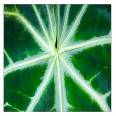 Green Leaf Macro Detail Large Satin Scarf (square)