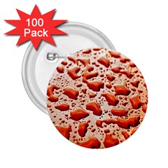 Water Drops Background 2 25  Buttons (100 Pack) 