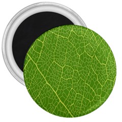 Green Leaf Line 3  Magnets