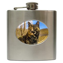 Adult Wild Cat Sitting And Watching Hip Flask (6 Oz) by dflcprints