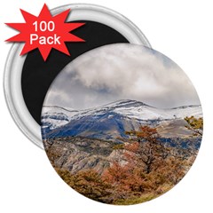 Forest And Snowy Mountains, Patagonia, Argentina 3  Magnets (100 Pack)