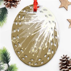 Big Bang Ornament (oval Filigree) by ValentinaDesign