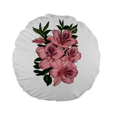 Orchid Standard 15  Premium Round Cushions by Valentinaart