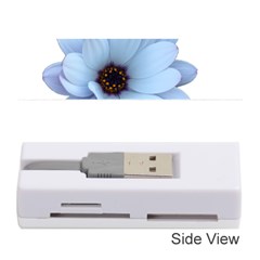 Daisy Flower Floral Plant Summer Memory Card Reader (stick)  by Nexatart