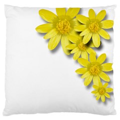 Flowers Spring Yellow Spring Onion Large Cushion Case (one Side) by Nexatart