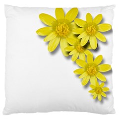 Flowers Spring Yellow Spring Onion Standard Flano Cushion Case (one Side) by Nexatart