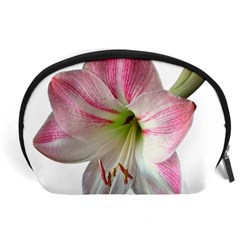 Flower Blossom Bloom Amaryllis Accessory Pouches (large)  by Nexatart