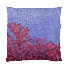 Fantasy Landscape Theme Poster Standard Cushion Case (one Side) by dflcprints