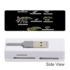 Dinosaurs Names Memory Card Reader (stick) 