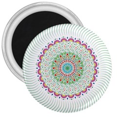 Flower Abstract Floral 3  Magnets by Nexatart