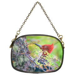 Woodpecker At Forest Pecking Tree, Patagonia, Argentina Chain Purses (two Sides)  by dflcprints