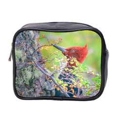 Woodpecker At Forest Pecking Tree, Patagonia, Argentina Mini Toiletries Bag 2-side by dflcprints