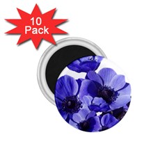 Poppy Blossom Bloom Summer 1 75  Magnets (10 Pack) 