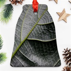 Leaf Detail Macro Of A Leaf Bell Ornament (two Sides) by Nexatart