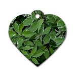 Texture Leaves Light Sun Green Dog Tag Heart (One Side) Front