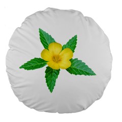 Yellow Flower With Leaves Photo Large 18  Premium Flano Round Cushions by dflcprints