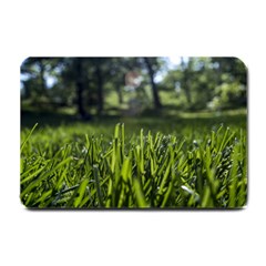 Green Grass Field Small Doormat 