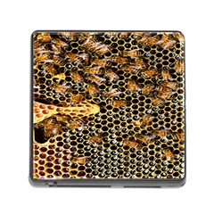 Queen Cup Honeycomb Honey Bee Memory Card Reader (square) by BangZart