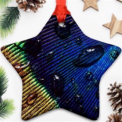 Peacock Feather Retina Mac Ornament (star) by BangZart