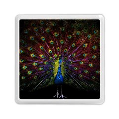 Beautiful Peacock Feather Memory Card Reader (square)  by BangZart