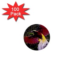 Cendrawasih Beautiful Bird Of Paradise 1  Mini Buttons (100 Pack) 