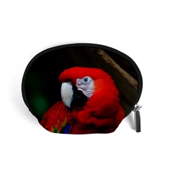 Scarlet Macaw Bird Accessory Pouches (small)  by BangZart