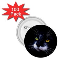 Face Black Cat 1 75  Buttons (100 Pack)  by BangZart