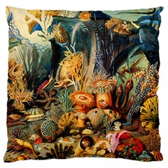 Underwater Large Cushion Case (two Sides) by Valentinaart