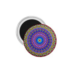 Colorful Purple Green Mandala Pattern 1 75  Magnets