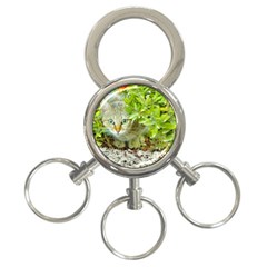 Hidden Domestic Cat With Alert Expression 3-ring Key Chains by dflcprints