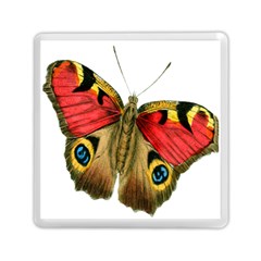 Butterfly Bright Vintage Drawing Memory Card Reader (square)  by Nexatart