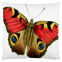 Butterfly Bright Vintage Drawing Large Cushion Case (one Side)