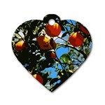 Orange tree Dog Tag Heart (Two Sides) Back