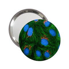 Fluorescence Microscopy Green Blue 2 25  Handbag Mirrors