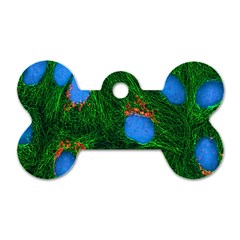 Fluorescence Microscopy Green Blue Dog Tag Bone (one Side) by Mariart