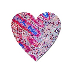 Histology Inc Histo Logistics Incorporated Alcian Blue Heart Magnet