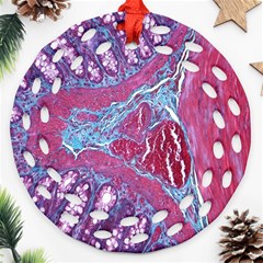 Natural Stone Red Blue Space Explore Medical Illustration Alternative Round Filigree Ornament (two Sides) by Mariart