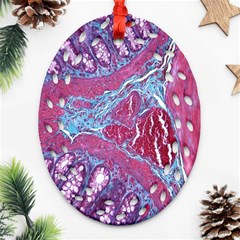 Natural Stone Red Blue Space Explore Medical Illustration Alternative Ornament (oval Filigree) by Mariart