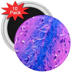 The Luxol Fast Blue Myelin Stain 3  Magnets (10 Pack) 