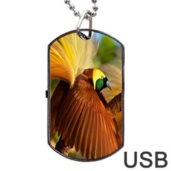 Birds Paradise Cendrawasih Dog Tag Usb Flash (two Sides) by Mariart